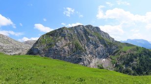 Felsiger Berg erhebt sich über einer üppigen Bergkräuterwiese