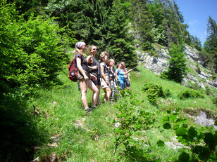 Sommerliche Wandergruppe auf Bergweg