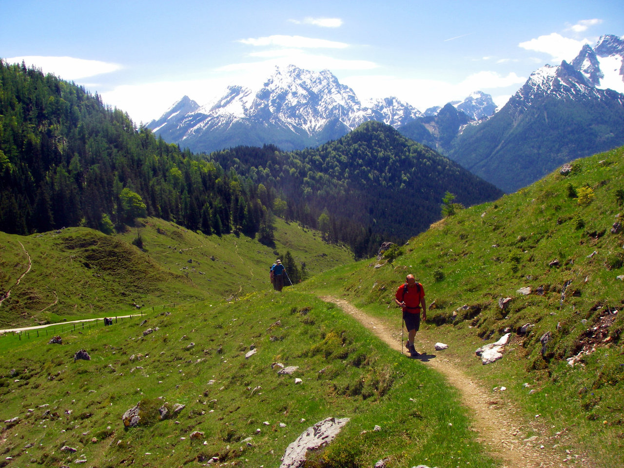 Wanderer auf einer Almwiese, im Hintergrund schneebedeckte Berge 