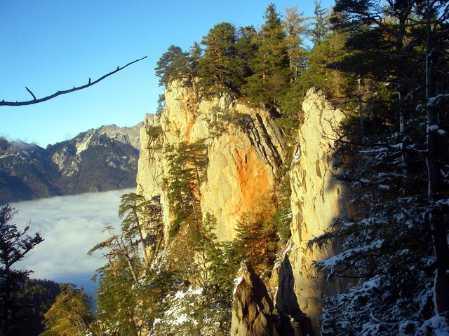 Bunte Felswand mit bewaldeten Bergkamm