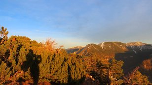 Latschen bewachsenes Gebirge leuchtet im Abendlicht