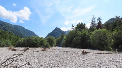 Bachbett und bewaldete Berge