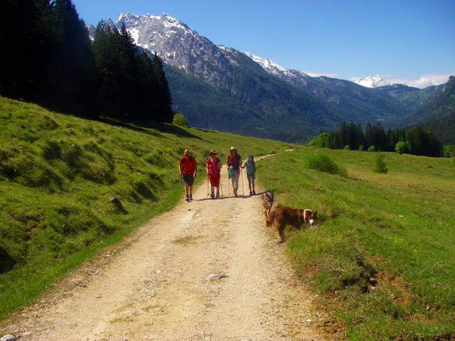 Wandergruppe auf breiter Almstraße