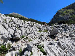 Karrenfelder im Karstgebiet