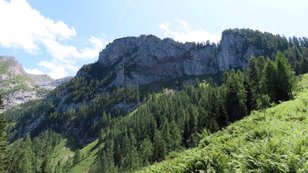 Bewaldeter Felsberg erhebt sich über üppigen Bergkräuterwiesen