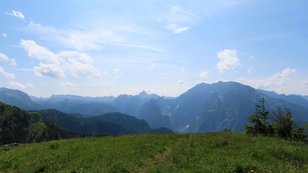 Bergkräuterwiese und blaue Berge im Hintergrund 