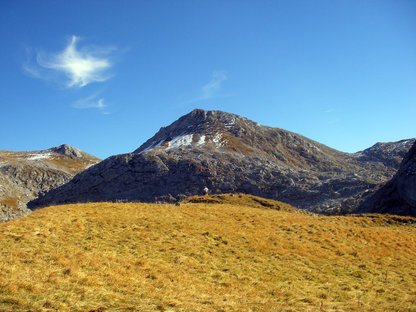 Herbstliche Gipfelwiese mit flachen Berg