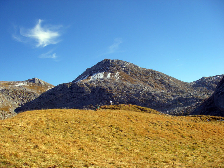 Goldene Bergwiese mit sanft ansteigenden Berggipfel im Hintergrund