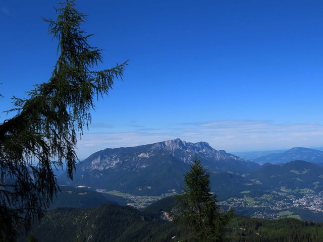 Eine Lärche scheint zu einem Tafelberg zu zeigen