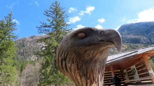 Geschnitzter Adlerkopf aus Holz