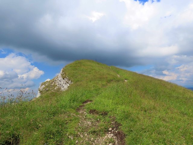 Grüne Gipfelwiese