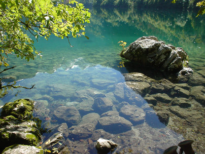 Spiegelungen im See