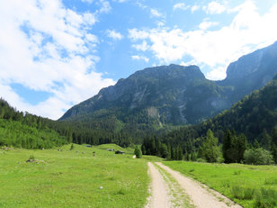 Almweg in den Bergen 