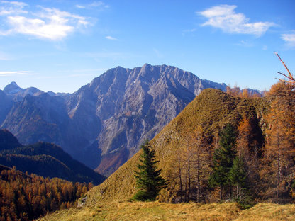 Wiesenberg mit goldener Herbstfärbung und markantem Felsberg im Hintergrund 