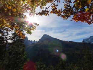 Bunter Laubbaum bildet Rahmen eines Bildes mit markanter Bergspitze im Mittelpunkt