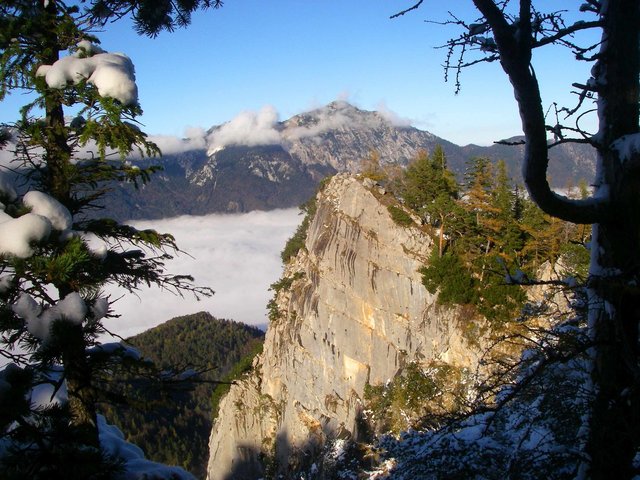 Sonnige Felswand mit bewaldetem Gipfel