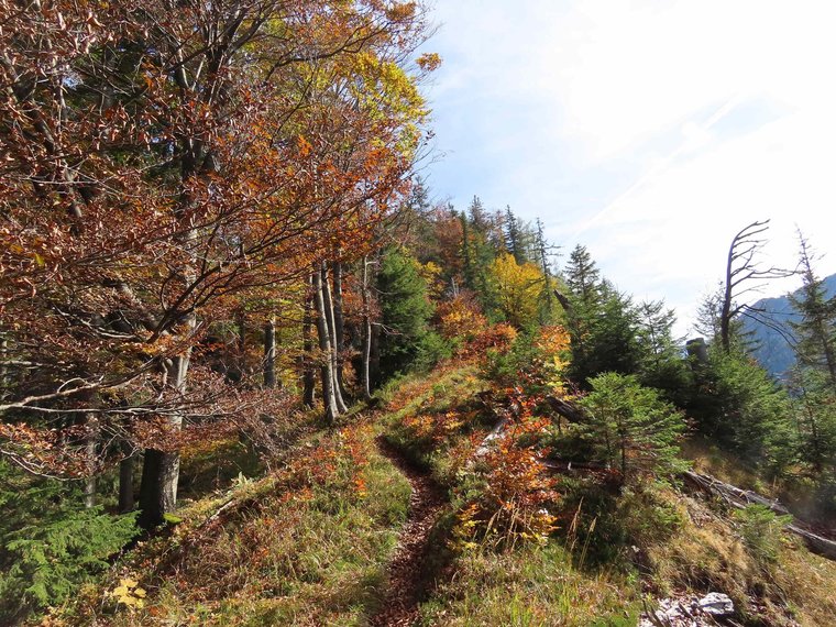 Gebirgskamm mit herbstlaubbunten Bäumen