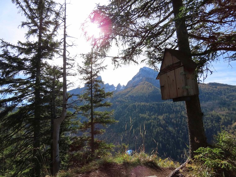 Holzkasten an einem Baum gegenüber eines markanten Berges