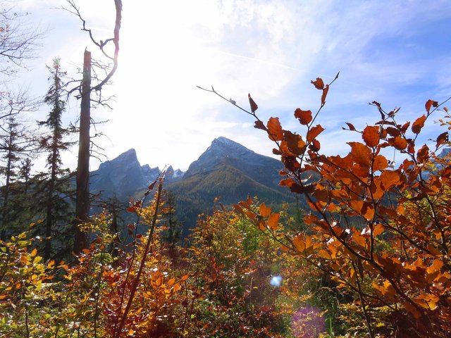 Buntes Herbstlaub und markanter Berg mit schroffen, wilden Zähnen dahinter