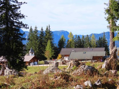 Ausflugsberghütte auf einer großen Waldlichtung