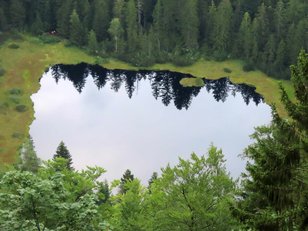 Bäume spiegeln sich in einem Waldsee