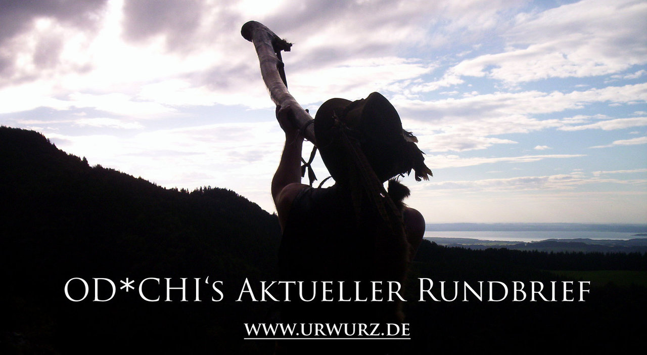 Silhouette eines Mannes mit Hut der ein Didgeridoo zum Himmel streckt