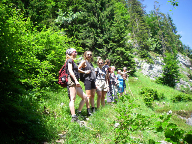 Wandergruppe im Bergwald