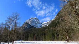 Schneebedeckter Felsberg über schneebedeckter Waldlichtung