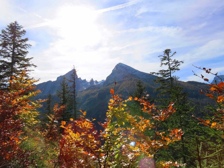 Buntes Herbstlaub vor einem markanten Berg