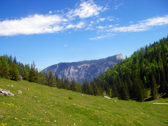 Almgelände und Berg