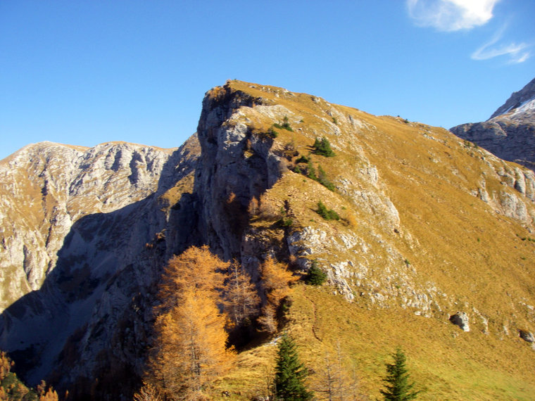 Goldbrauner Wiesengipfel mit Schroffen im Herbst