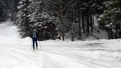 Skibergsteiger vor einem markanten Felsen im Winterwald