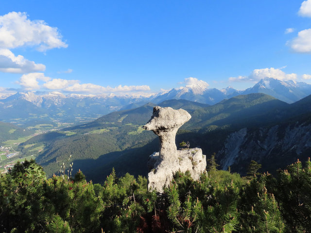 Pilzförmiger Felsen in Latschen